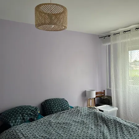 Apartment T4 A Voltaire A 10 Mn De Geneve Ferney-Voltaire